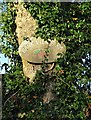 Farm sign on a tree at Totley Bents