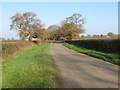 Barnhouse Lane heading towards Barnhouse Farm