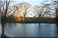 Pond by Lostock Hall