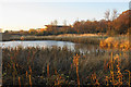 SD6508 : Pond near Lostock by Bill Boaden