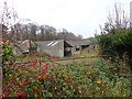 Farm buildings between Bonecastle Road and Drumcullan road