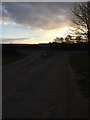 Looking towards the A43 from outside New Lodge