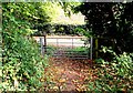 Gate on to Sickles Road