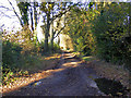 Lane towards Maxted Street