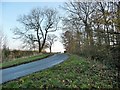 Sneck Gate Lane, south of Newby