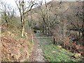 Agosau at Afon Crychan / Approaching Afon Crychan