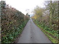 Minor road approaching Nant-y-cwm