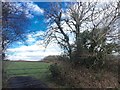 Gateway into field