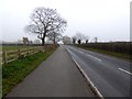 Segregated cycle path