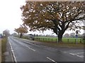 Segregated cycle path