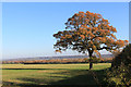 Landscape near Cookham Dean