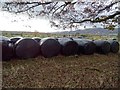 Silage bales