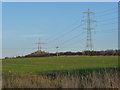 NZ4912 : Power lines crossing farmland, north of Antelope Lodge by Christine Johnstone
