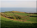 Fields south of East Prawle