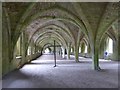 SE2768 : The Cellarium at Fountains Abbey by Marathon