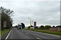 TF5519 : Traffic camera on mast by A17, Terrington St Clement by David Smith
