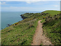 Southwest Coast Path to Start Point