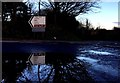 Reflections at dusk on the road to Llandeloy