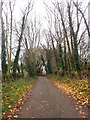 View ENE along Ballydonety Road