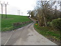 Hedge and tree-line minor road accompanied by power lines near Tyddyn Bartley