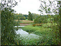 Red Hill Centre, Snitterfield - pond