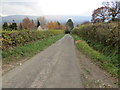 Hedge-lined minor road near Clywdfa