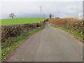 Hedge-lined minor road near Llwyn-bach