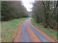 Road through Clocaenog Forest at Pennant