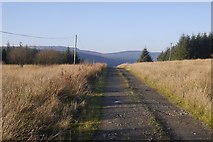 NY1796 : Road to Finniegill by Richard Webb
