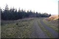 Logging road above the Dryfe Water