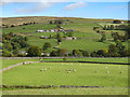 Upper Weardale around West Blackdene