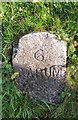 Milestone - Barnstaple 6