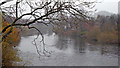 Misty River Severn at Bridgnorth, Shropshire