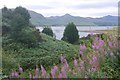 NG9138 : View over Loch Carron by Richard Webb
