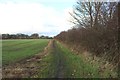 Path on the edge of South Wellfield