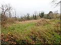 Interdrumlin wetland alongside the Ballydonety Road