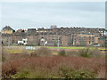 Housing on west side of Lea Valley