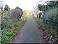 Driveway allowing foot access to Old Peter