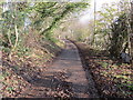 Minor tree-lined road between Brithdir-mawr and Brithdir-bach