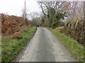 Hedge and tree-lined minor road at Ty Cerrig, Tre-lan