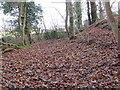 Woodland footpath covered by autumnal leaves as it heads for a stile onto the road at Coed Du