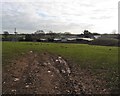 Livestock sheds at Great Coombshead