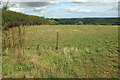 Field near Heath Farm