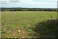 Field near Heath Farm