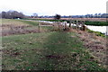 Gate on the riverside footpath