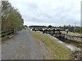 N2959 : Lock 36 and bridge on the Royal Canal by Oliver Dixon