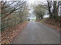 Minor road approaching Hendre-llan