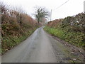 Hedged minor road heading towards Cyffylliog