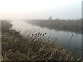 River Nene in the mist at Chester Farm