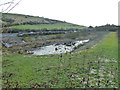 A23 balancing pond near Pangdean Farm